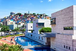 เอกวาดอร์