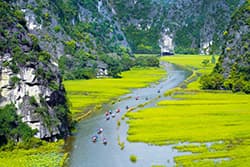 นิญบิ่ญ